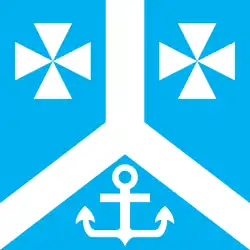 Vlag van de gemeente Leisi