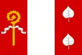 Vlag