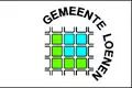 Vlag van de gemeente Loenen