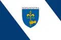 Vlag van Márianosztra