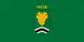 Vlag van Mór