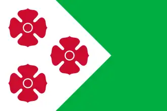 Vlag van de gemeente Maasdonk