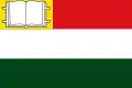 Vlag van Monterrey
