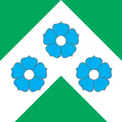 Vlag van de gemeente Mooste