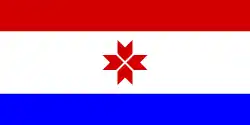 Voorgaande vlag (30 maart 1995 - 20 mei 2008)