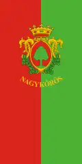 Vlag van Nagykőrös