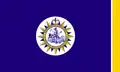 Vlag van Nashville (Tennessee)