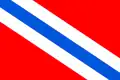Vlag