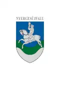 Vlag van Nyergesújfalu