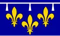 Vlag van Orléanais