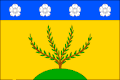 Vlag