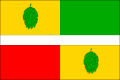 Vlag