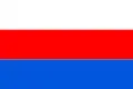 Vlag van Praag 10