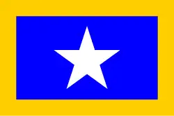 Vlag