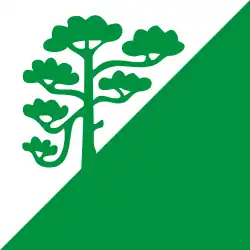 Vlag van de gemeente Raasiku