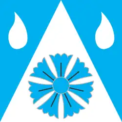 Vlag van de gemeente Rakke