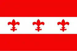 Vlag