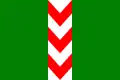 Vlag