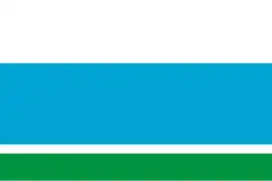 Variant zonder wapenschild (11 maart 1997 - 12 mei 2005)