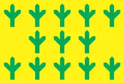 Vlag van de gemeente Taheva