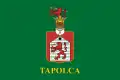 Vlag van Tapolca