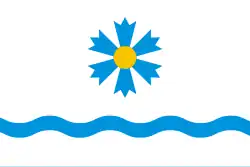 Vlag van de gemeente Tartu vald