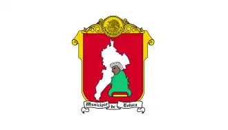 Vlag van Toluca