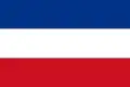 Vlag van Valledupar