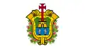 Vlag van Veracruz 1999-2009 (ratio 4:7)