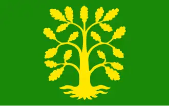 Vlag van Vest-Agder fylke