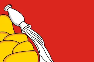 Vlag oblast Voronezj