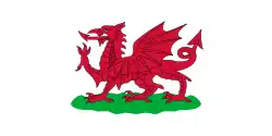 Vlag van Wales (1807-1953)