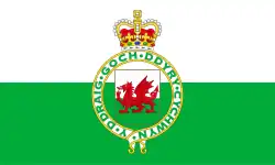 ? Vlag van Wales (1953-1959)