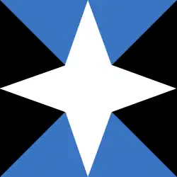 Vlag van de gemeente Paistu