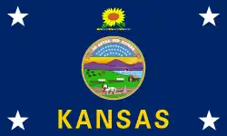 Vlag van de Gouverneur