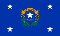 Vlag van de Gouverneur