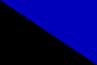 Vlag van het Israëlische luchtverdedigingscommando