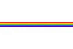 Voorgaande vlag (31 juli 1996 - 27 november 1996)