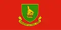Vlag van het Zimbabwaanse Nationale Leger.
