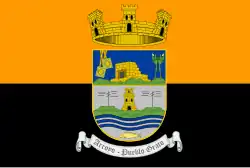 Gemeentevlag van Arroyo