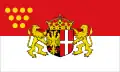 Vlag van Neuss
