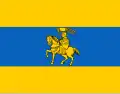 Vlag van Schwerin (Mecklenburg-Voor-Pommeren)