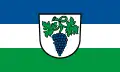 Weingarten (Württemberg)