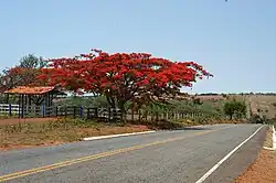 De hoofdweg (GO-139)