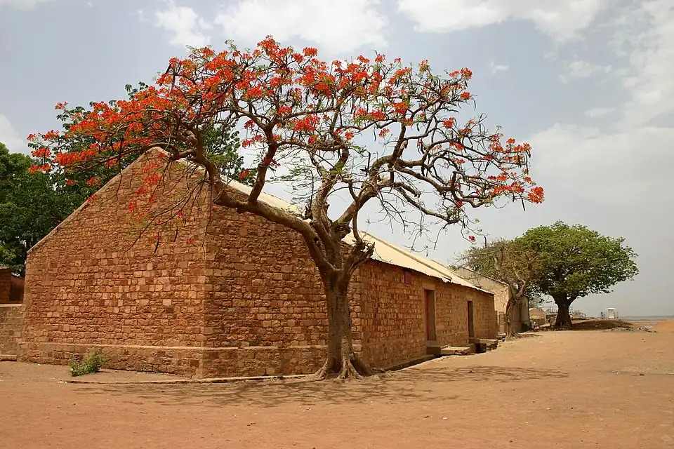 Flamboyant voor een bakstenen gebouw in Mali