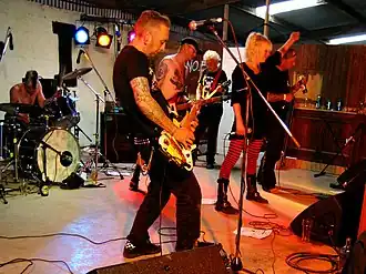 Fleas and Lice in 2010