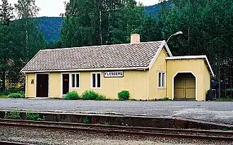 Station Flesberg