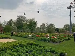 Tulpentuinen op Green Island