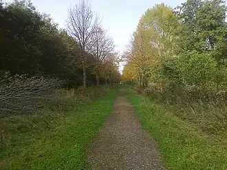 Het Floris V-pad loopt hier door De Elzen bij Dordrecht