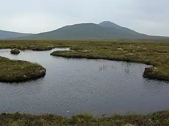 RSPB Forsinard Flows National Nature Reserve, Sutherland